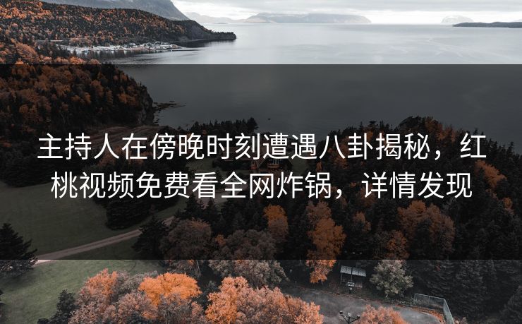 主持人在傍晚时刻遭遇八卦揭秘，红桃视频免费看全网炸锅，详情发现
