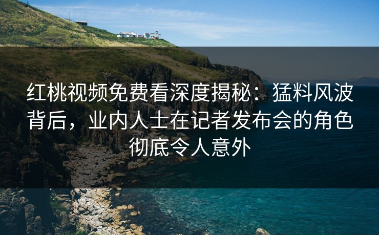红桃视频免费看深度揭秘：猛料风波背后，业内人士在记者发布会的角色彻底令人意外